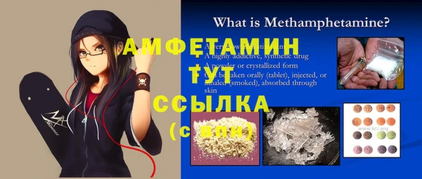 гидра Вяземский