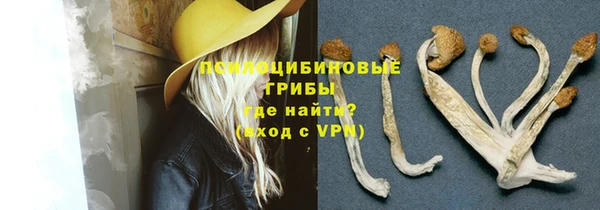 гидра Вяземский