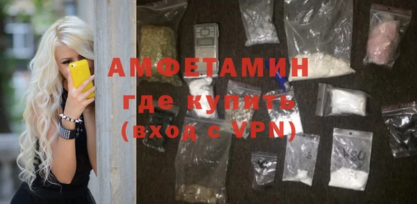 гидра Вяземский