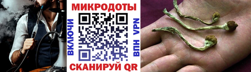 hydra зеркало Жуков Галлюциногенные грибы MAGIC MUSHROOMS